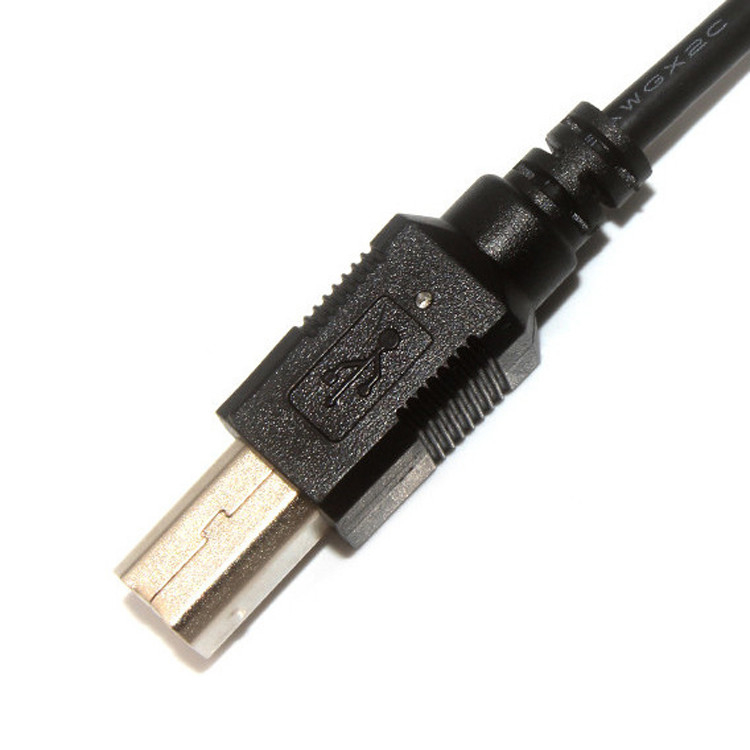 10 핀 30 AWG 2.54mm 피치 모렉스 케이블 조립 150mm 길이 모렉스 22-55-2101