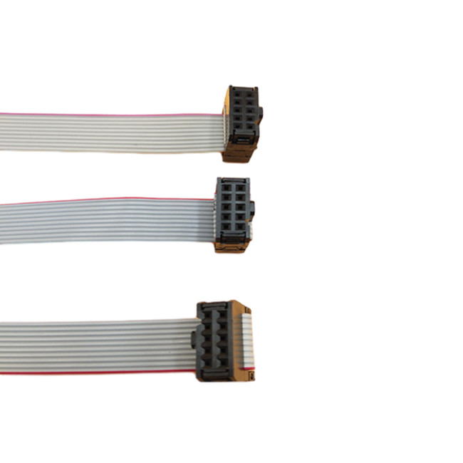 주름 공구 IDC 10 Pin 2.54mm 피치 암 커넥터를 가진 편평한 리본 케이블 어셈블리