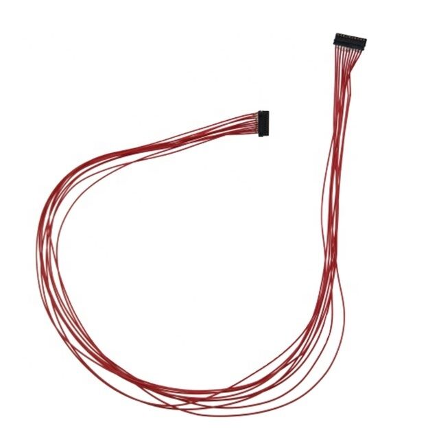 JST XSR 0.6mm Pitch 10-Pin Custom Wire Harness with Customized Length for Electronic Applications